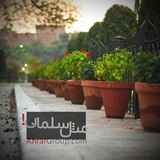 Telegram profile photo for کوتاهنوشت - عینصاد