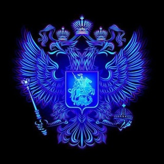 Telegram profile photo for Роман Козка - директор правового департамента АМО г. Краснодар
