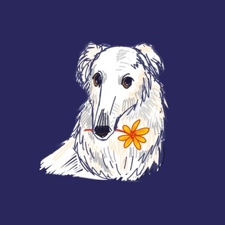 Telegram profile photo for циг