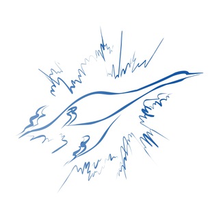 Telegram profile photo for Бесплатные онлайн-практикумы