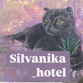 Telegram profile photo for silvanika_hotel | временный дом для котиков | Москва