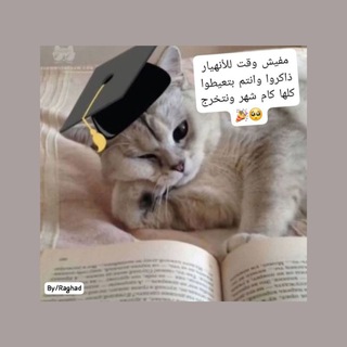 Telegram profile photo for شرح وأسئلة للفرقة الرابعة~👩🏻🎓🌿
