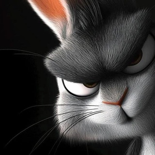Telegram profile photo for V