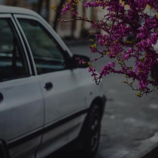 Telegram profile photo for ᴍᴜᴠᴀʜʜɪᴅ ོ