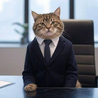 Telegram profile photo for Gato de negócios