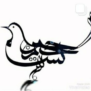 Telegram profile photo for شعر شیراز