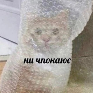 Telegram profile photo for Тисше fm
