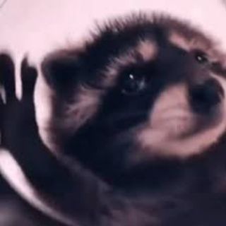 Telegram profile photo for $PEDRO PORTAL