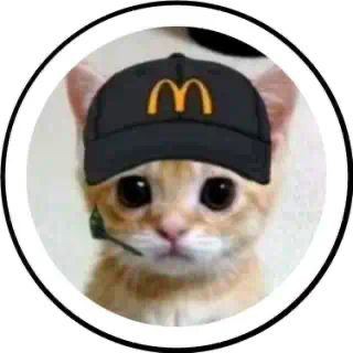 Telegram profile photo for $McCAT Catwifmcdonaldshat
