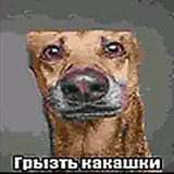 Telegram profile photo for .