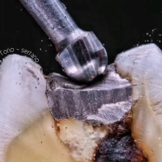 Telegram profile photo for The Best Dentist
