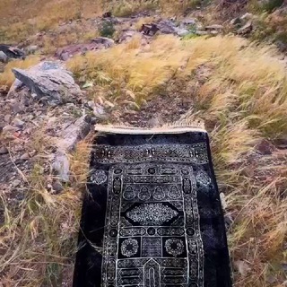 Telegram profile photo for قناة نور الدعوية العامة
