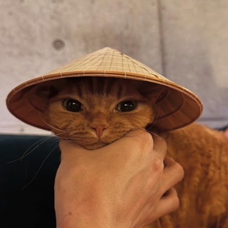 Telegram profile photo for ЧАТЫ - ТАИЛАНД ВЬЕТНАМ
