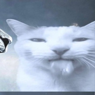 Telegram profile photo for ПБ комишки+ отзывы приятни слова