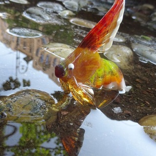 Telegram profile photo for Peace. Love. Glass