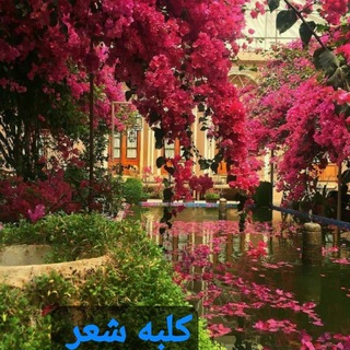 Telegram profile photo for ڪـــــلبه شـــــــــعر