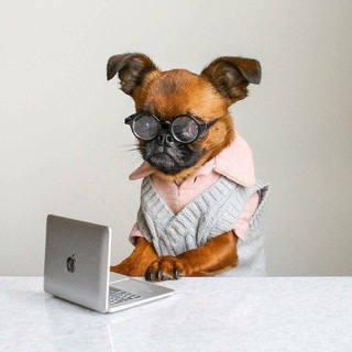 Telegram profile photo for Фактология