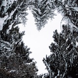 Telegram profile photo for Том Кулибякин