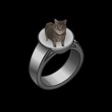 Telegram profile photo for Gem Signet