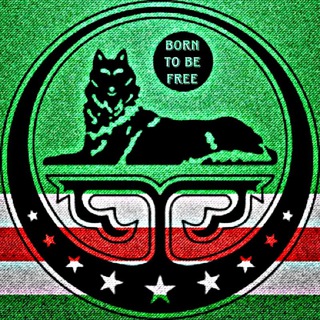 Telegram profile photo for 《BORN TO BE FREE》