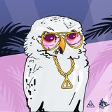 Telegram profile photo for NFT SOVA