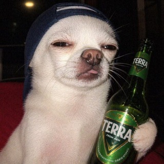Telegram profile photo for snd.pic.
