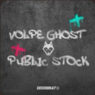 Telegram profile photo for Volpe public stock