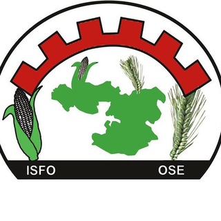 Telegram group profile photo for Oromia Seed Enterprise