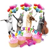 Telegram profile photo for it's your special day today 💞