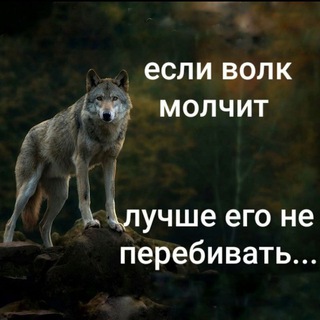 Telegram profile photo for Цытаты волка АУФ👆🐺