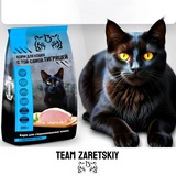 Telegram profile photo for Team Zaretskiy