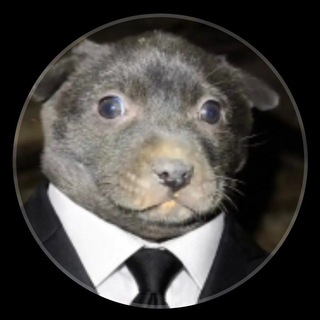 Telegram profile photo for Dante