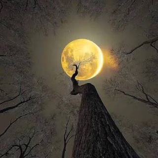 Telegram profile photo for جــمــر الــغضـا♪ᥫ᭡