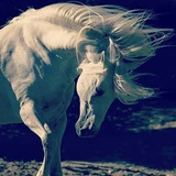 Telegram profile photo for اللَينةة الطيبةة..🌼