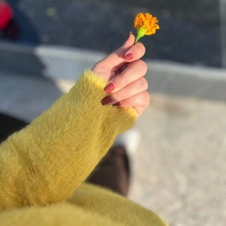 Telegram profile photo for زيـــنـــب