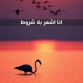 Telegram profile photo for باختصار:"تنفس💝لتحيا بابتهاج".