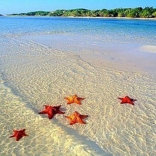 Telegram profile photo for Moment Travel