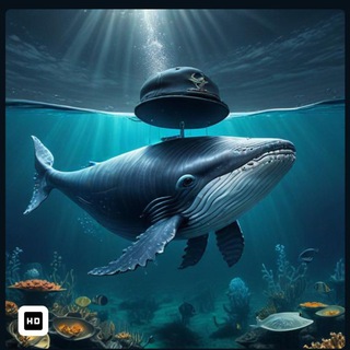 Telegram profile photo for ππ π 420 WHALE SIGNALS