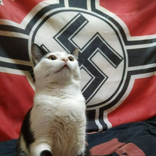 Telegram profile photo for geh, fick dich