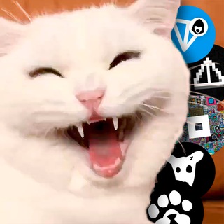 Telegram profile photo for Не хомяк, а кот