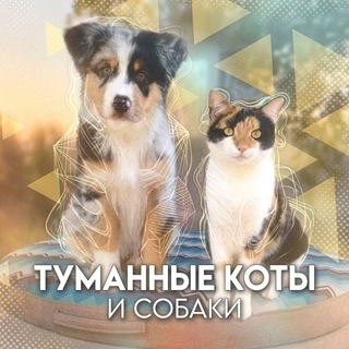 Telegram profile photo for ⊹ ᎷᏆᏚᎢᎩ ᴄᴀᴛs ᴀnd dᴏgs ⊹