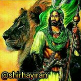 Telegram profile photo for 🎩شیرهای ایران💯