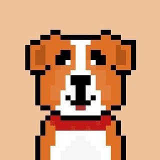 Telegram profile photo for Crypto Furkan | Airdrop - Cryptocurrency - Shill