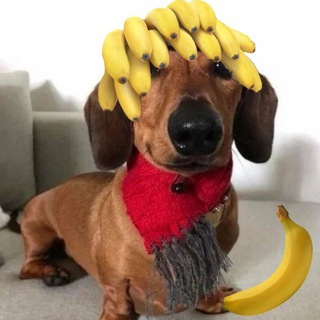 Telegram profile photo for Ответы ОГЭ Дагестан 05 регион