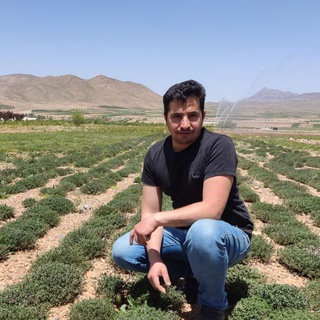 Telegram profile photo for گیاهان دارویی (دکتر اسماعیلی)