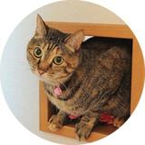Telegram profile photo for Azalea | Neiro's Sister