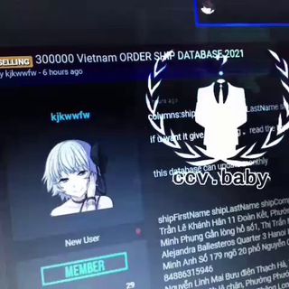 Telegram profile photo for KÊNH ccv.baby | CCV VISA | MUA BÁN PAYPAL COIN