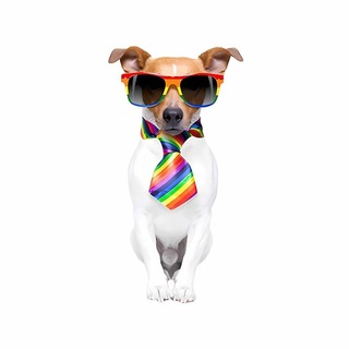 Telegram profile photo for Канал бота - Messenger Store