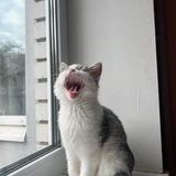Telegram profile photo for Артуррксо