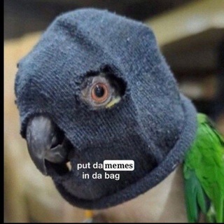 Telegram profile photo for Папук поцупив🦜